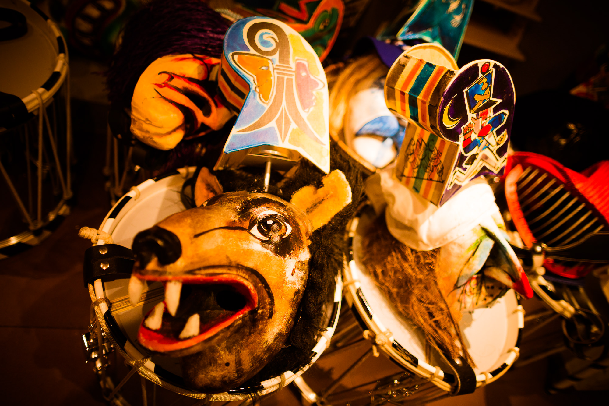 Export x3 1DX 5837 Basler Fasnacht 2016